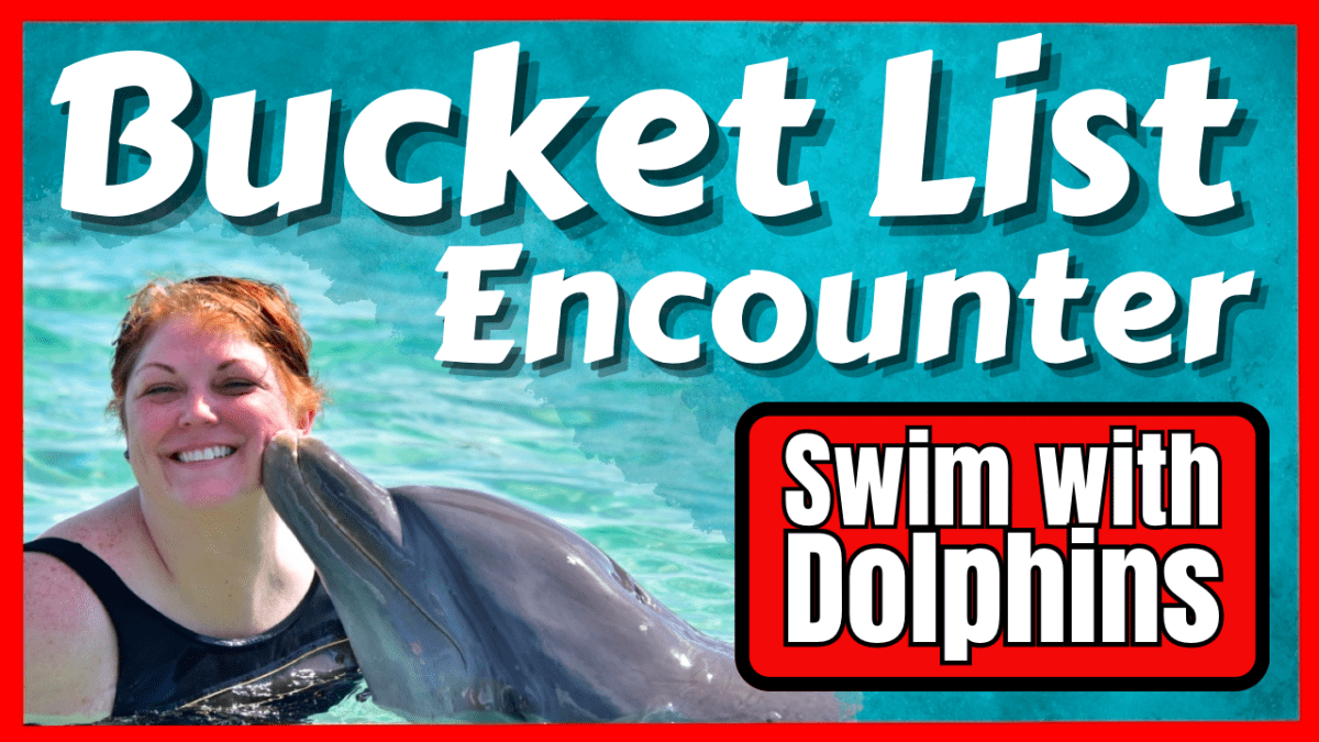 Roatan – Dolphin&nbsp;Encounter